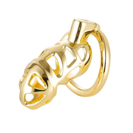 Gold Steel Chastity Cage