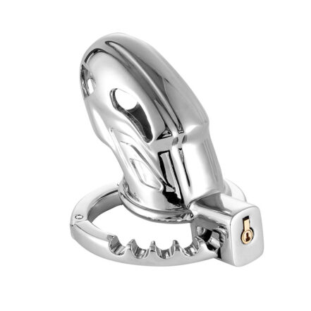 Adjustable Steel Chastity Cage