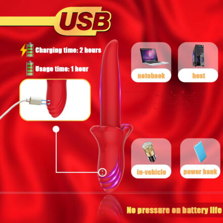 Red USB rechargeable vibrator advertised with charging time 2 hours and Usage time 1 hour, shown against a red background with device imagery and accessory icons.